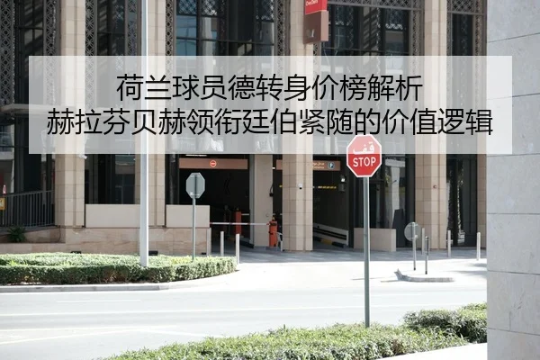 荷兰球员德转身价榜解析 赫拉芬贝赫领衔廷伯紧随的价值逻辑
